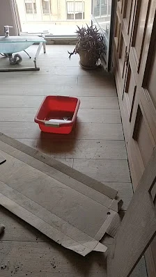 REFORMAS VALENCIA MyJ - 5