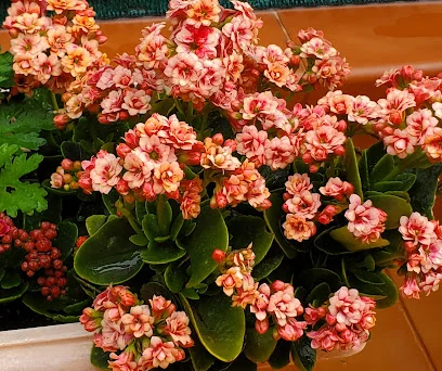 Unik Carpinteria de Aluminio